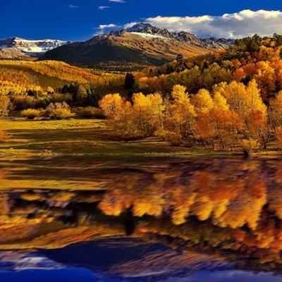 LDSports乐动体育