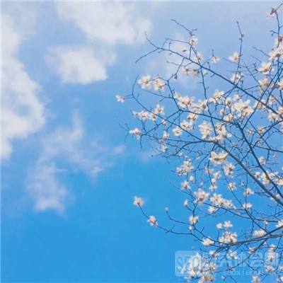 188金宝搏下载手机版