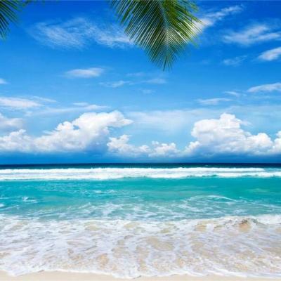 星空下载站安装